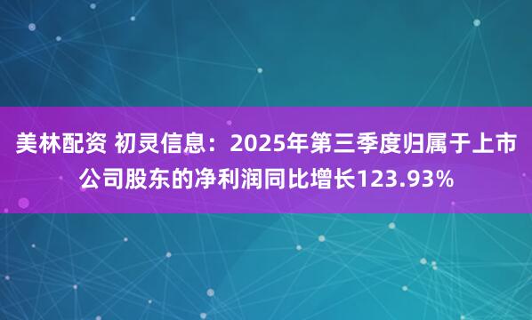 美林配资 初灵信息：2025年第三季度归属于上市公司股东的净利润同比增长123.93%