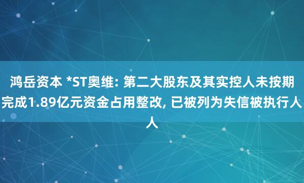 鸿岳资本 *ST奥维: 第二大股东及其实控人未按期完成1.89亿元资金占用整改, 已被列为失信被执行人